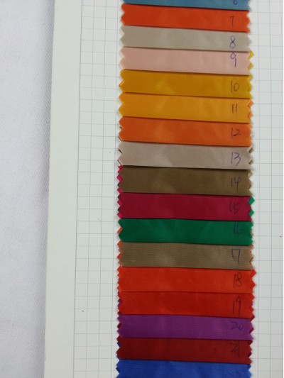 GZ-YISG  20D尼龍緞 後面照